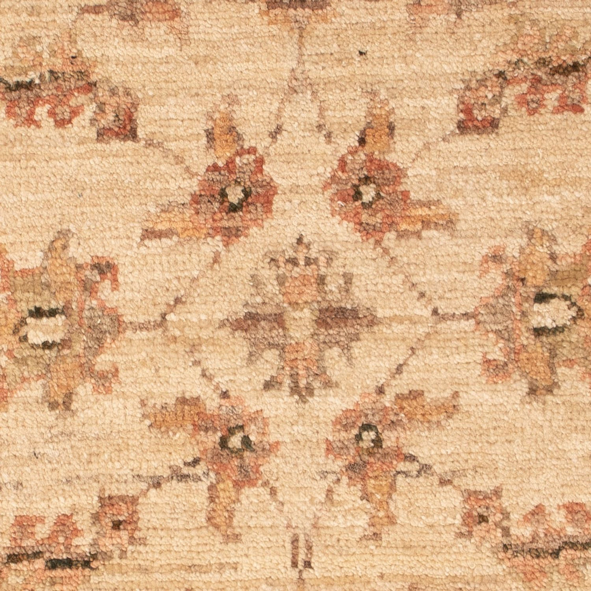 Ziegler Rug - 72 x 49 cm - beige