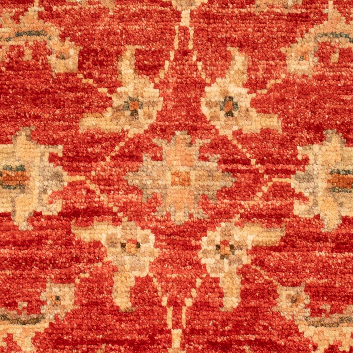 Ziegler Rug - 70 x 56 cm - red