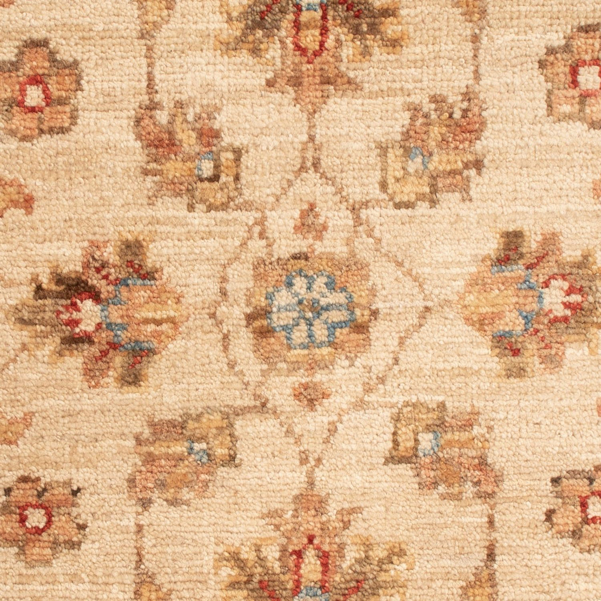 Ziegler Rug - 74 x 52 cm - beige