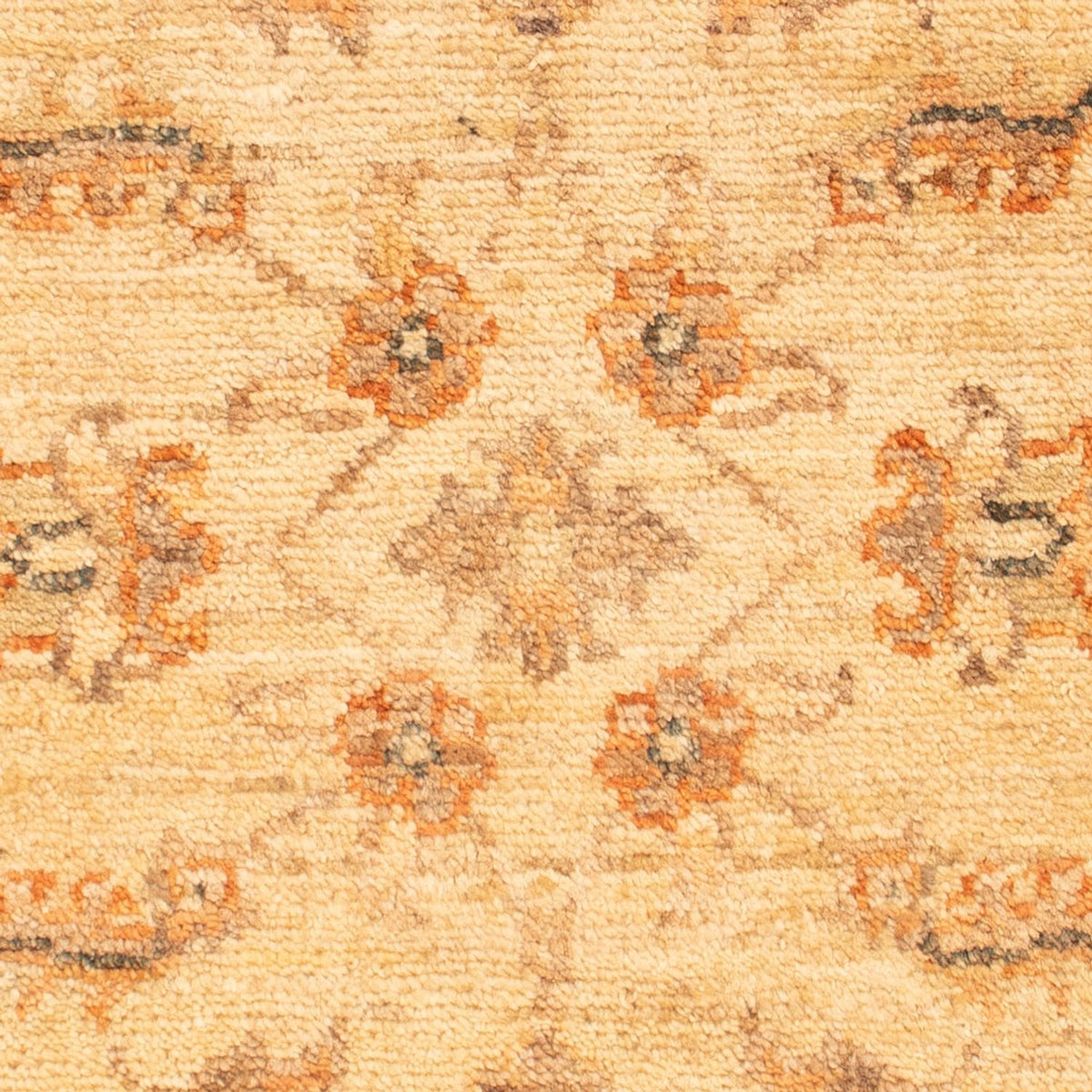 Ziegler Rug - 70 x 52 cm - beige