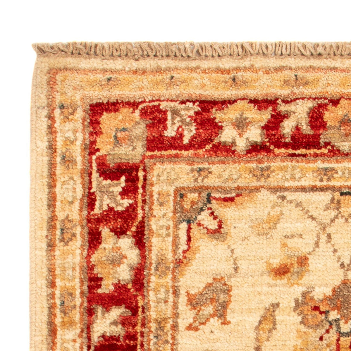 Ziegler Rug - 74 x 50 cm - beige