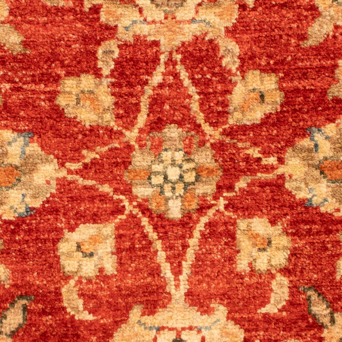 Ziegler Rug - 67 x 52 cm - red