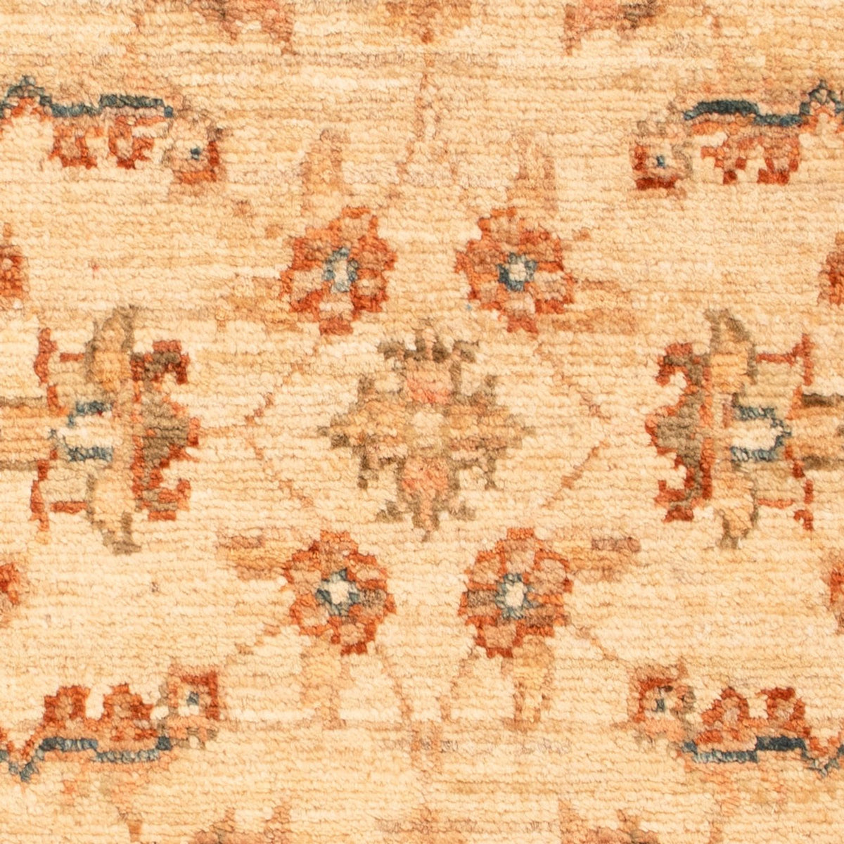 Ziegler Rug - 71 x 48 cm - beige