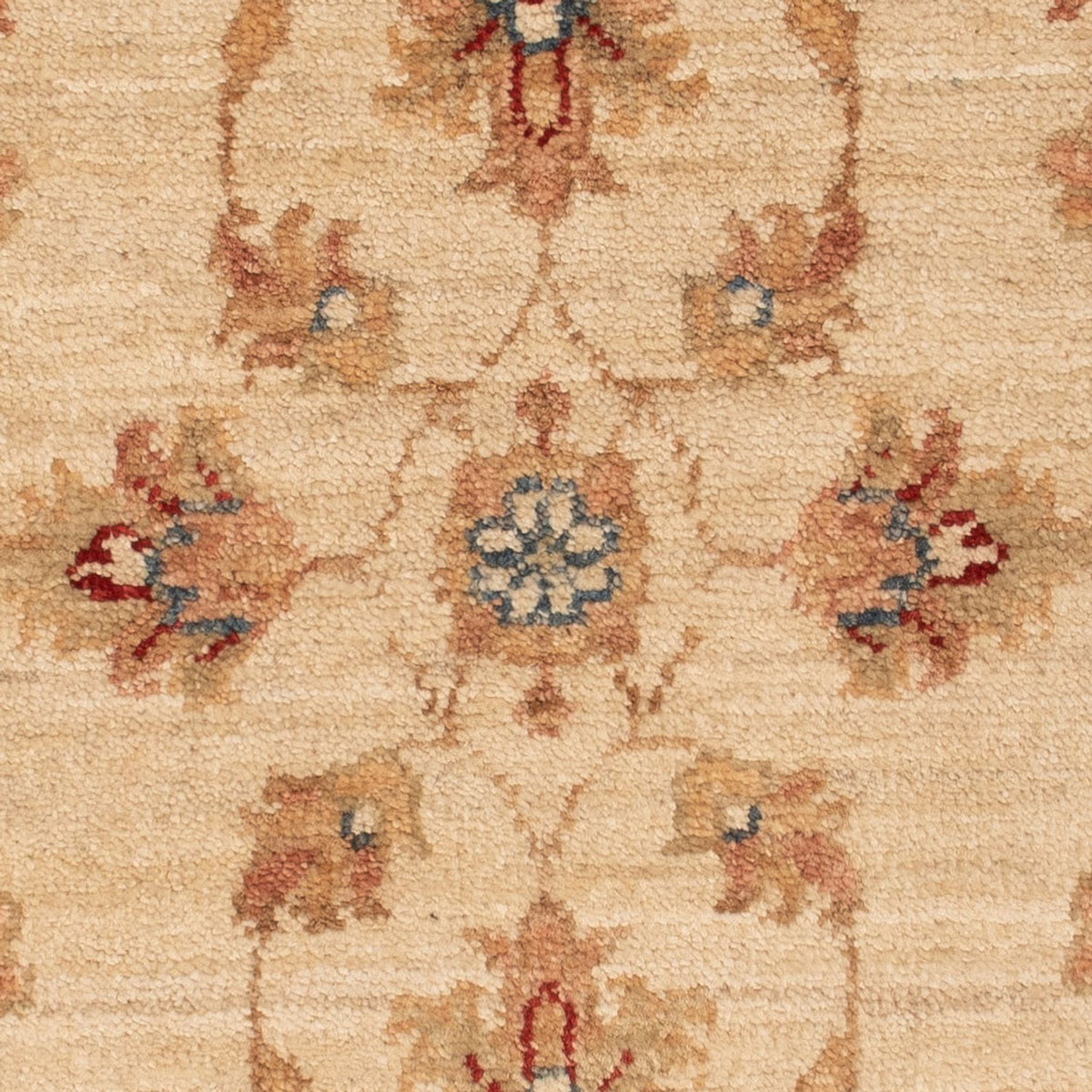 Ziegler Rug - 67 x 50 cm - beige
