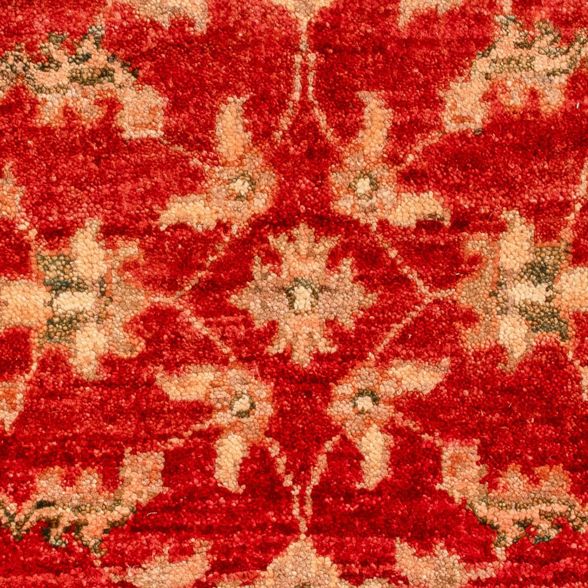 Ziegler Rug - 70 x 53 cm - red