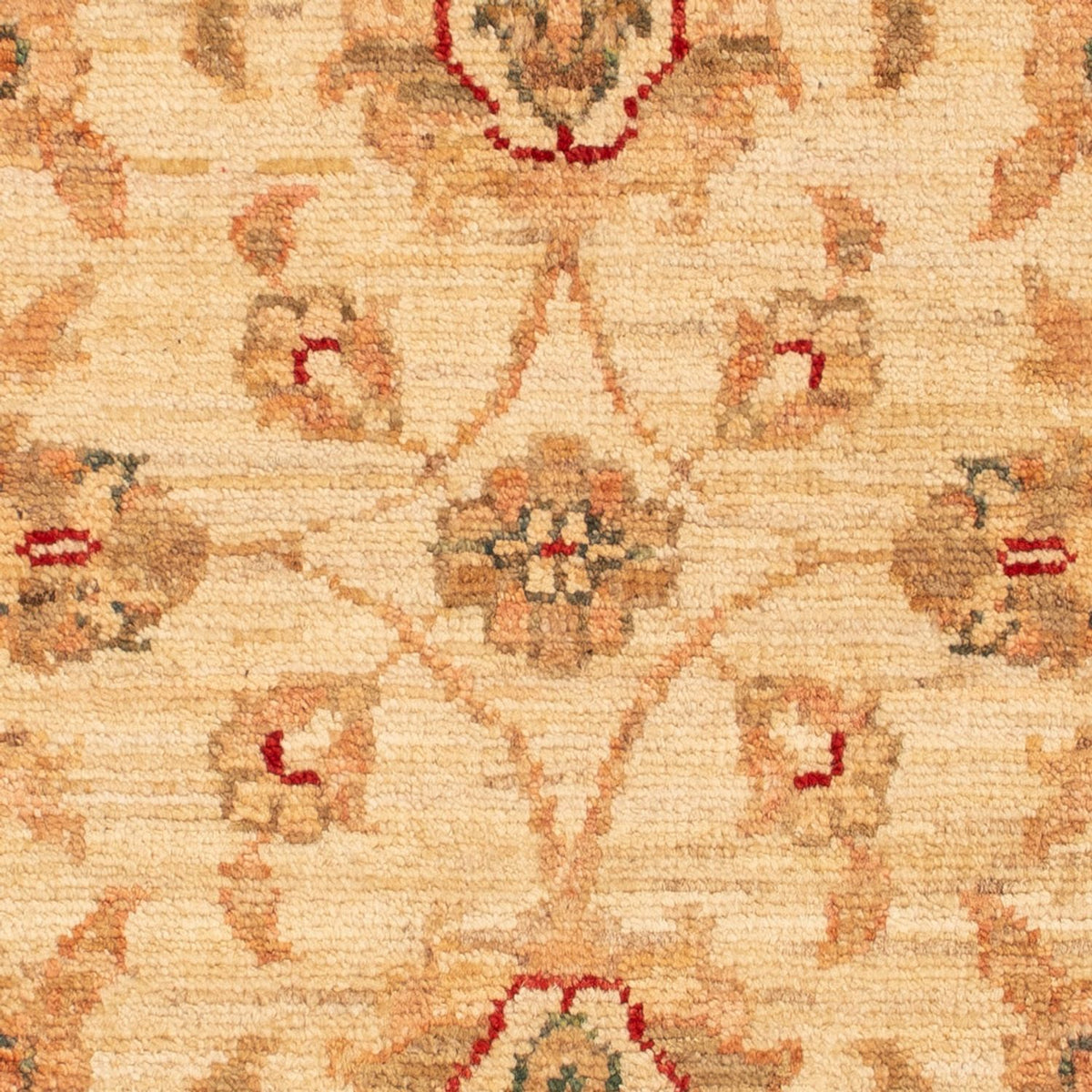 Ziegler Rug - 70 x 51 cm - beige