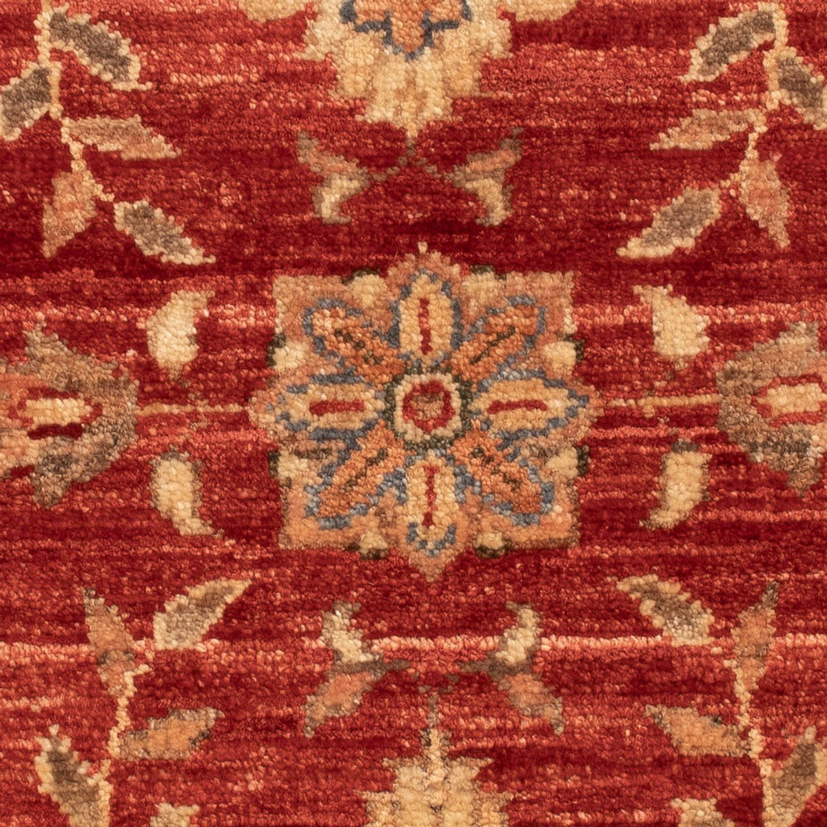 Ziegler Rug - 63 x 52 cm - red