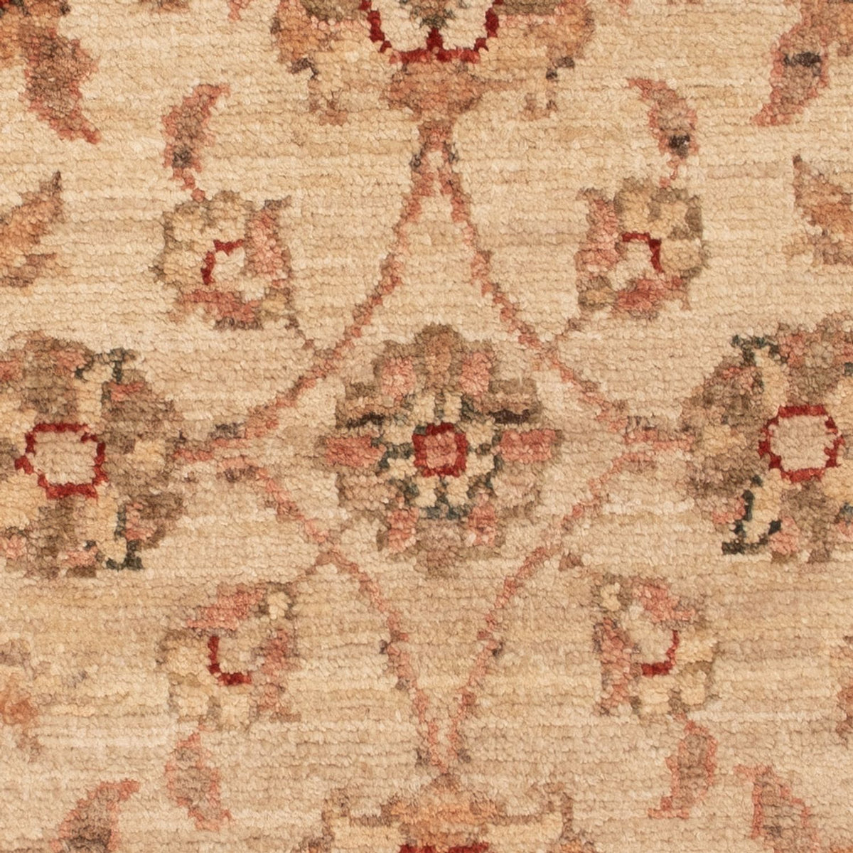 Ziegler Rug - 72 x 50 cm - beige