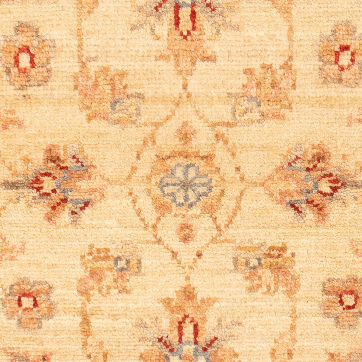 Ziegler Rug - 70 x 53 cm - beige