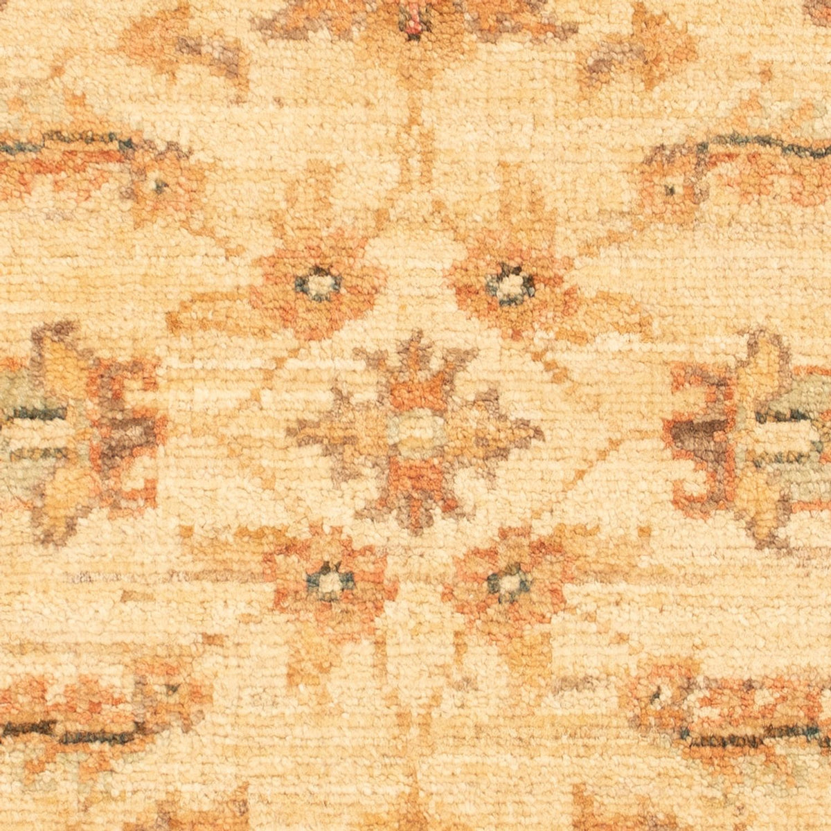 Ziegler Rug - 66 x 51 cm - beige