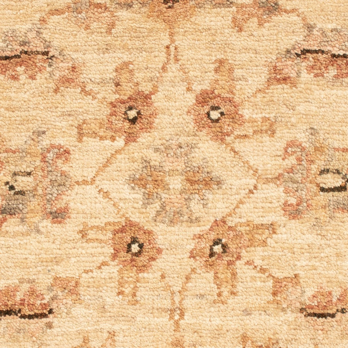 Ziegler Rug - 66 x 51 cm - beige
