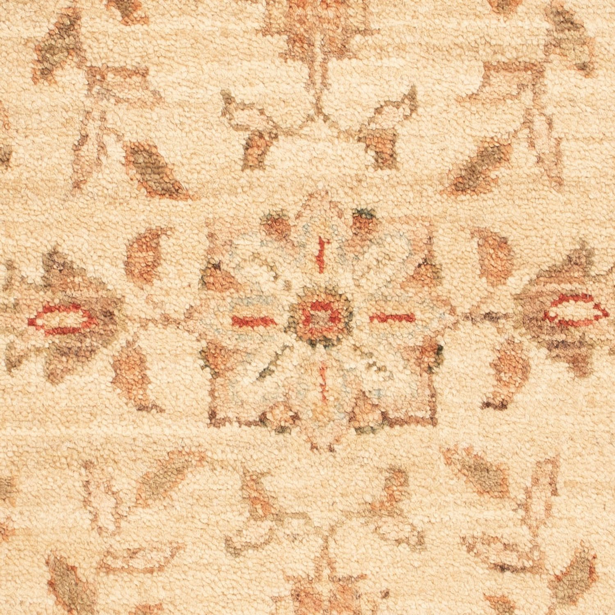 Ziegler Rug - 70 x 50 cm - beige