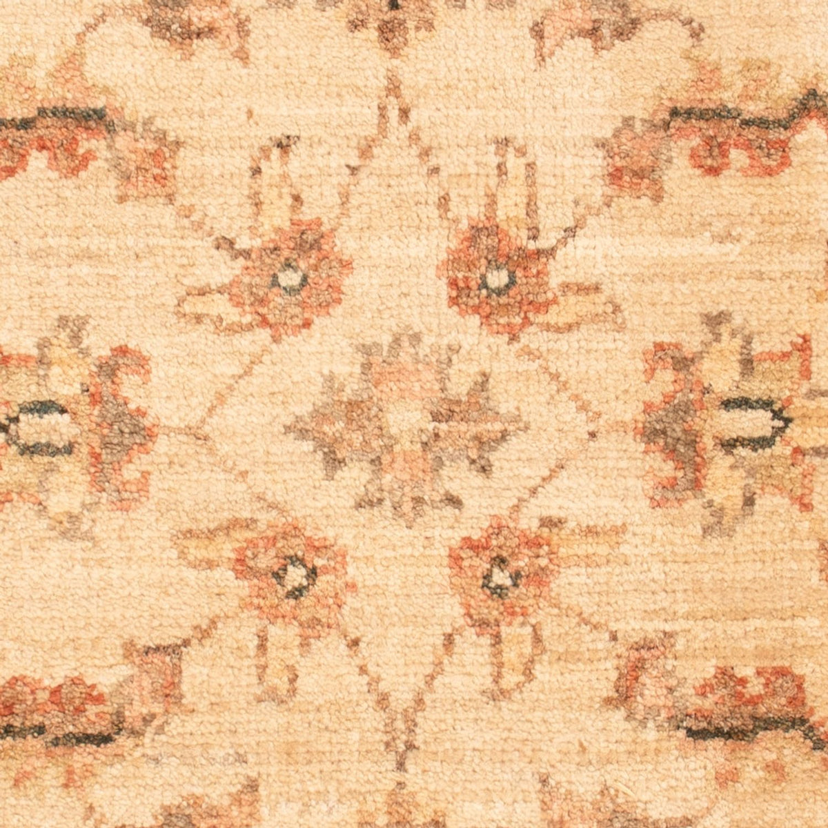 Ziegler Rug - 70 x 50 cm - beige