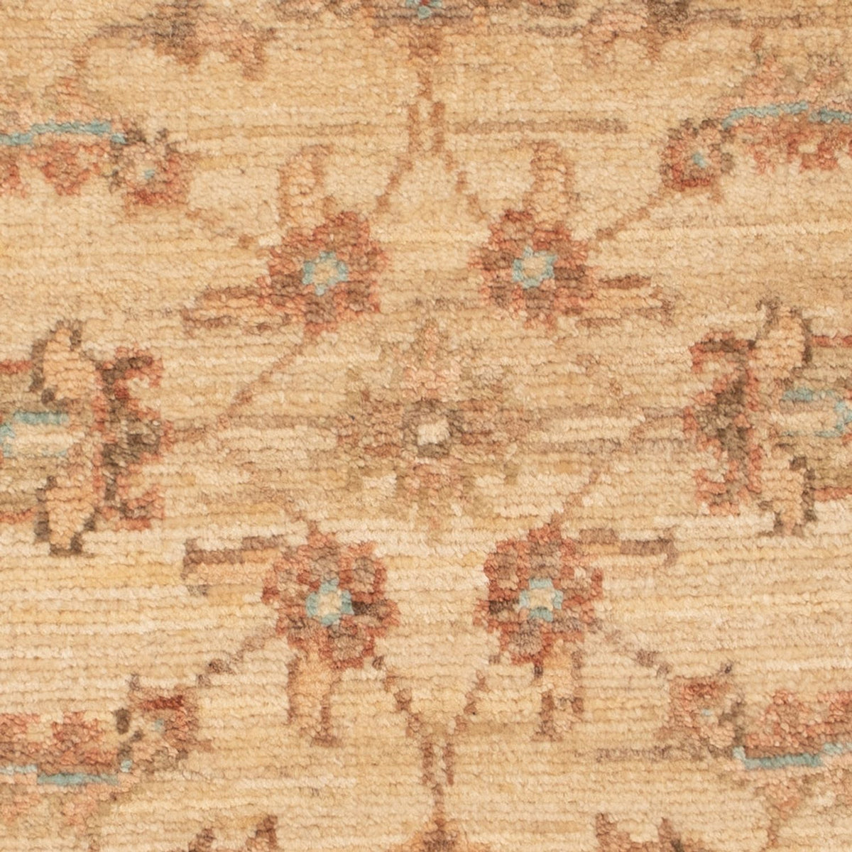 Ziegler Rug - 68 x 53 cm - beige