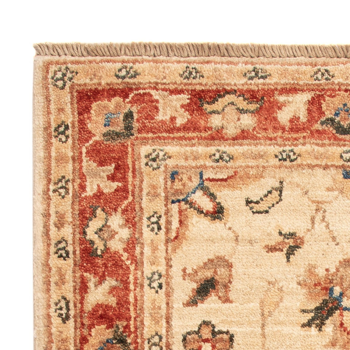 Ziegler Rug - 66 x 50 cm - beige