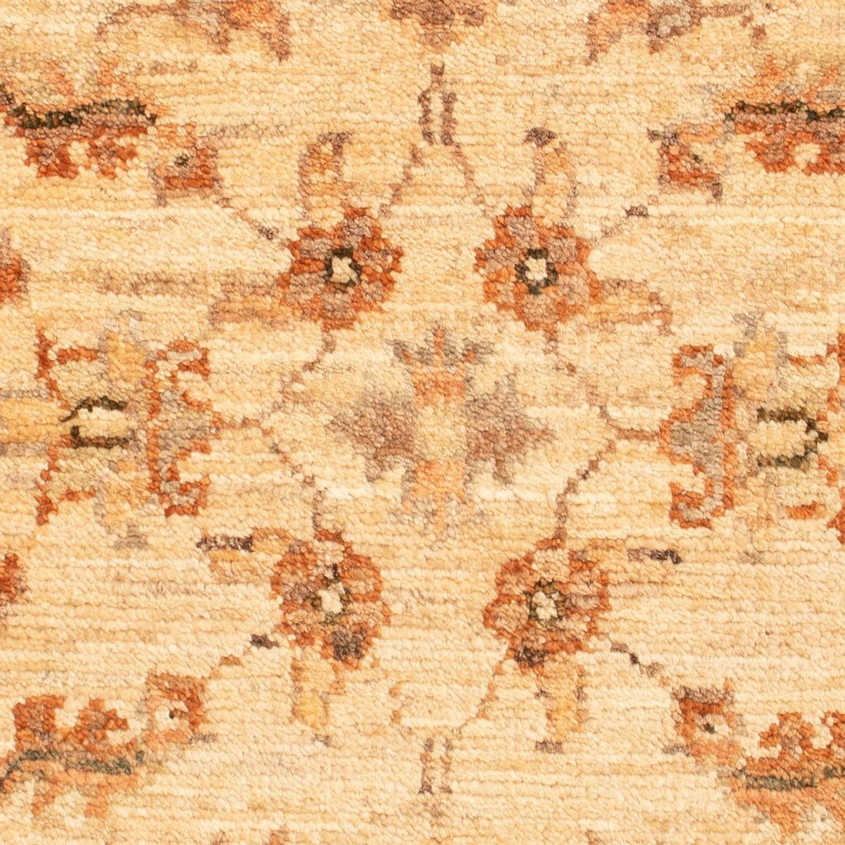 Ziegler Rug - 70 x 53 cm - beige