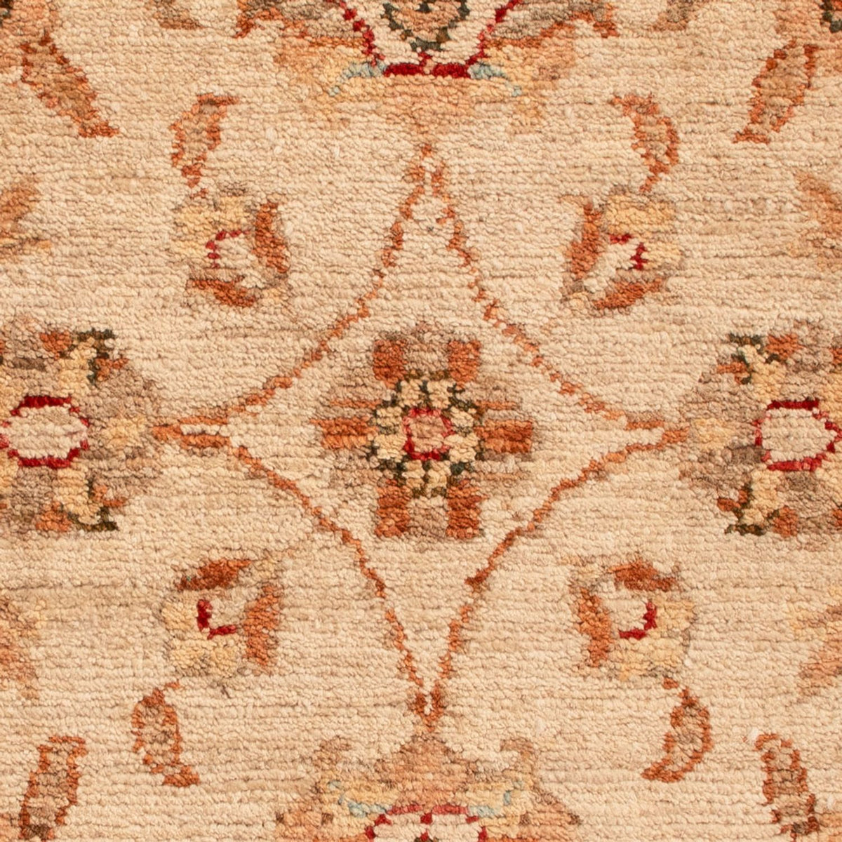 Ziegler Rug - 72 x 50 cm - beige