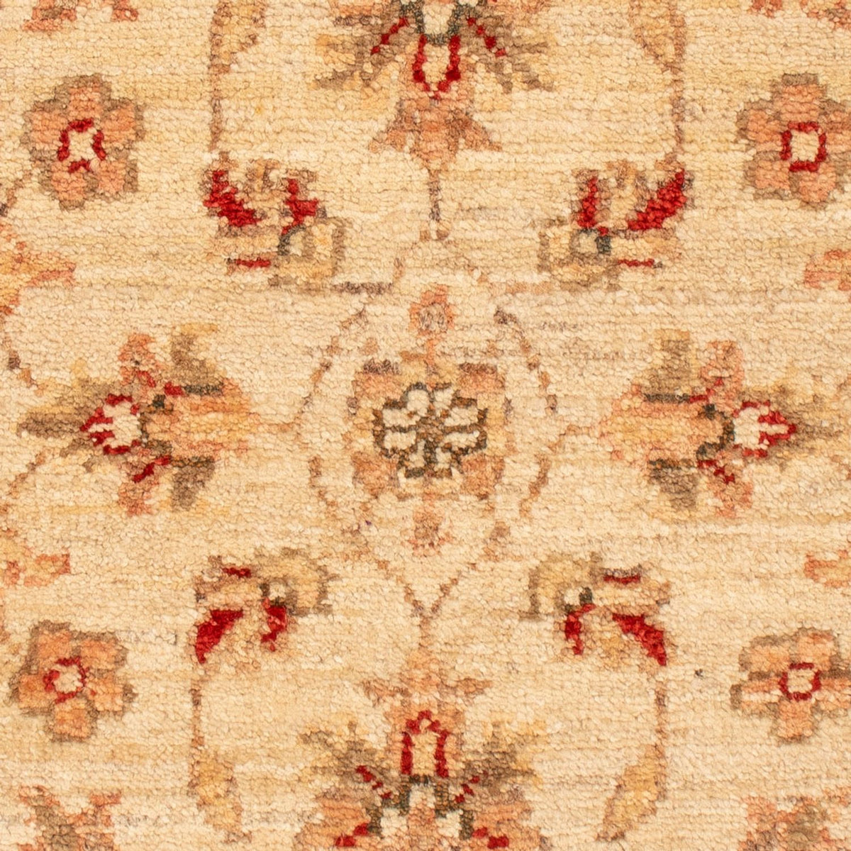 Ziegler Rug - 70 x 50 cm - beige