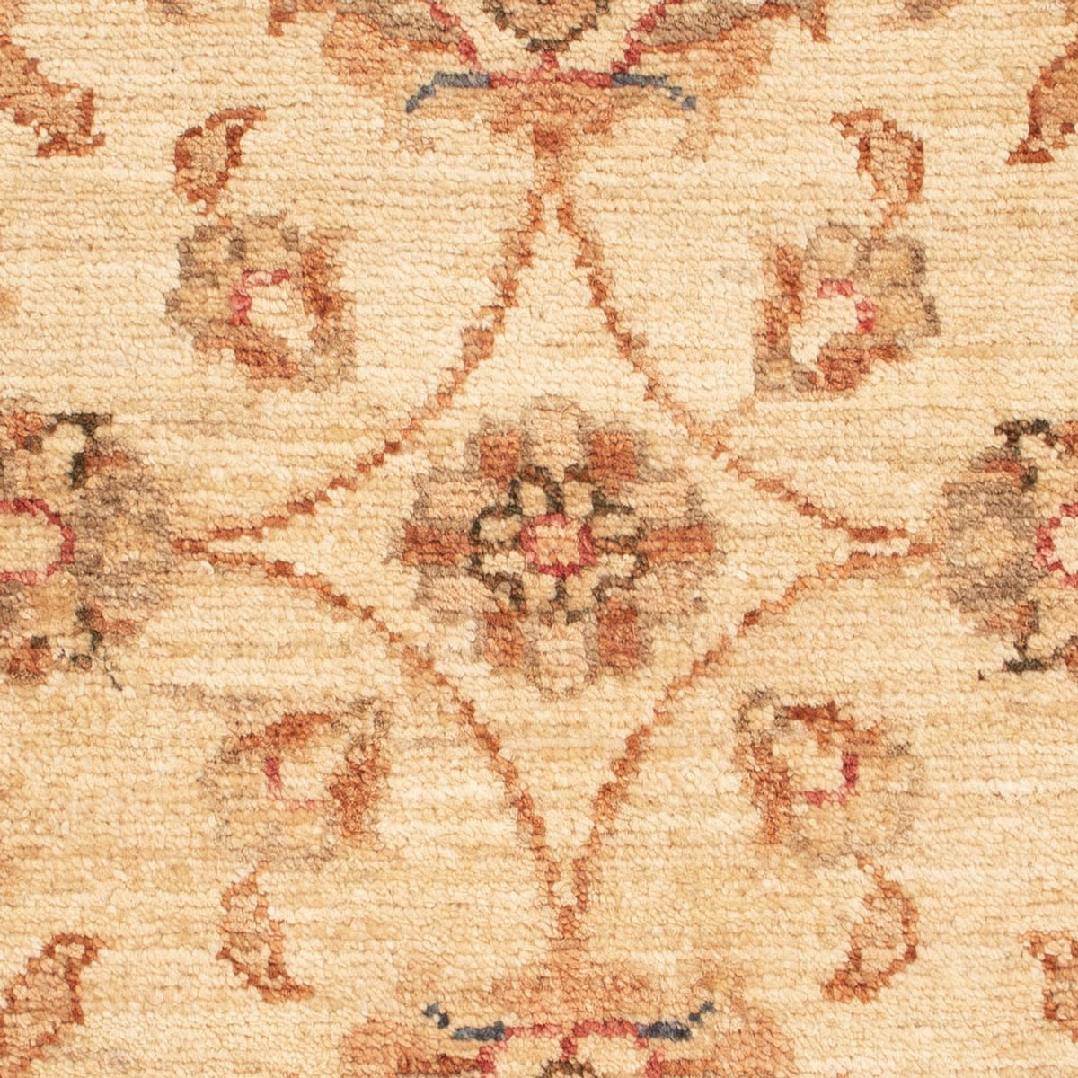 Ziegler Rug - 67 x 52 cm - beige