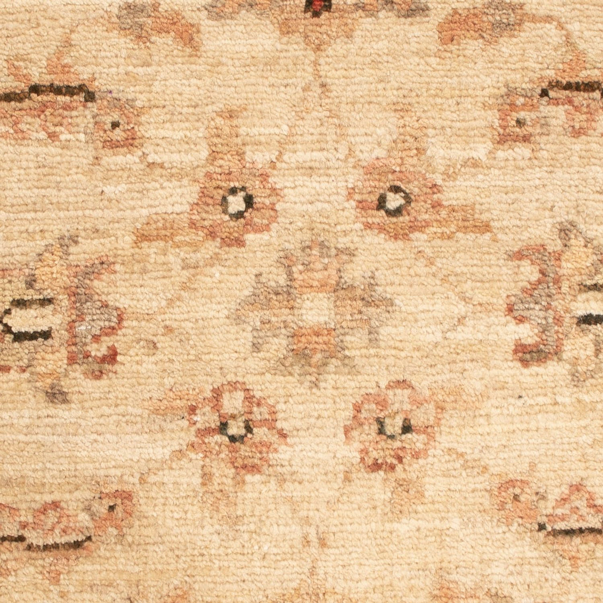 Ziegler Rug - 62 x 52 cm - beige