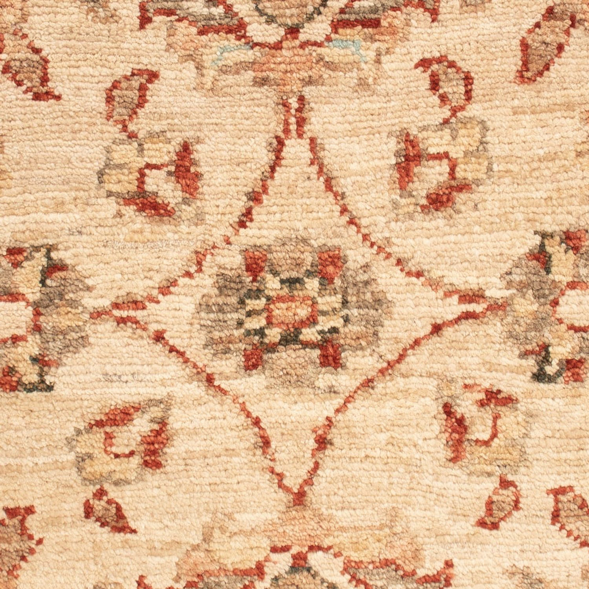 Ziegler Rug - 65 x 51 cm - beige
