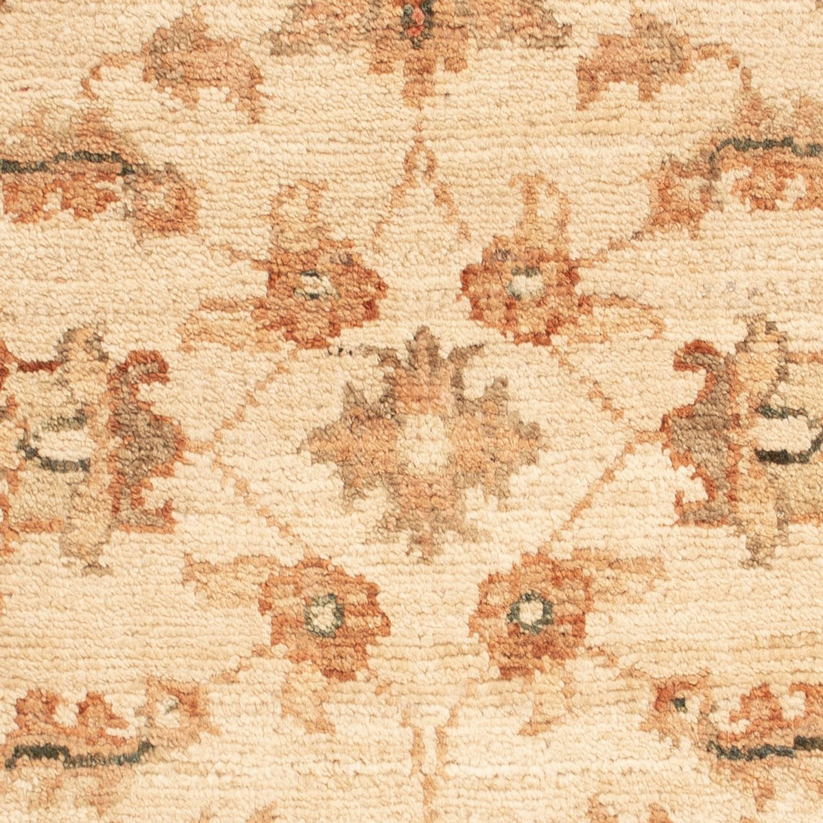 Ziegler Rug - 69 x 49 cm - beige