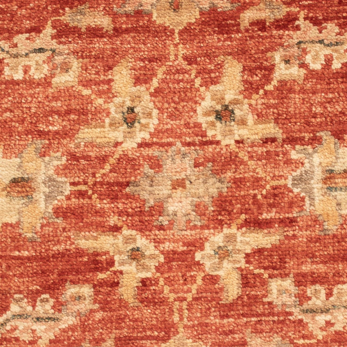 Ziegler Rug - 70 x 53 cm - red