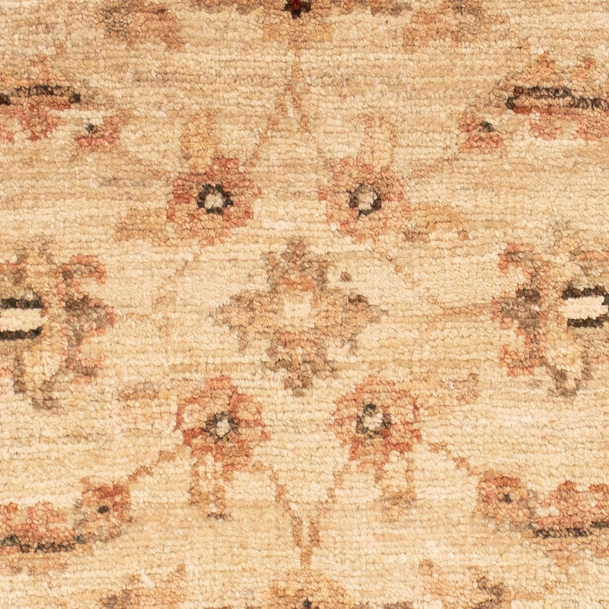 Ziegler Rug - 62 x 50 cm - beige
