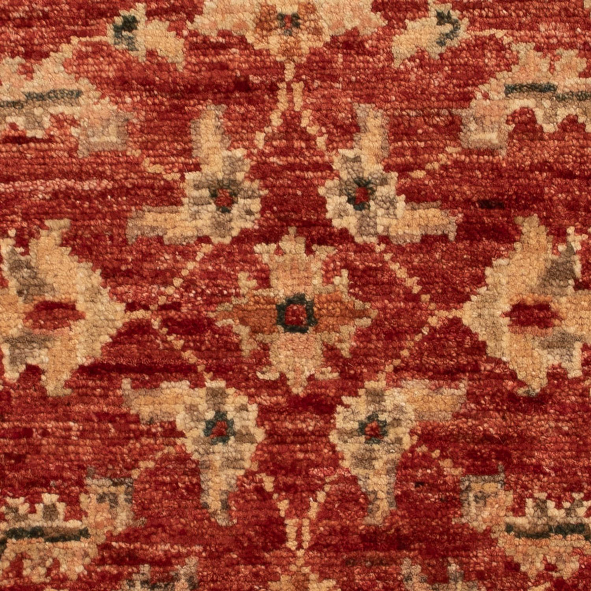 Ziegler Rug - 70 x 50 cm - red