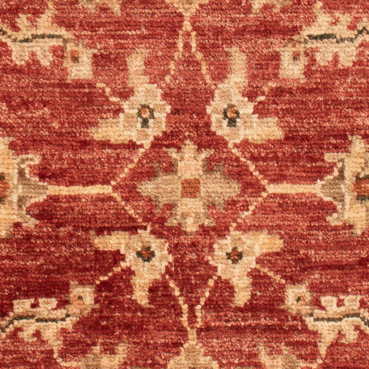 Ziegler Rug - 67 x 53 cm - red