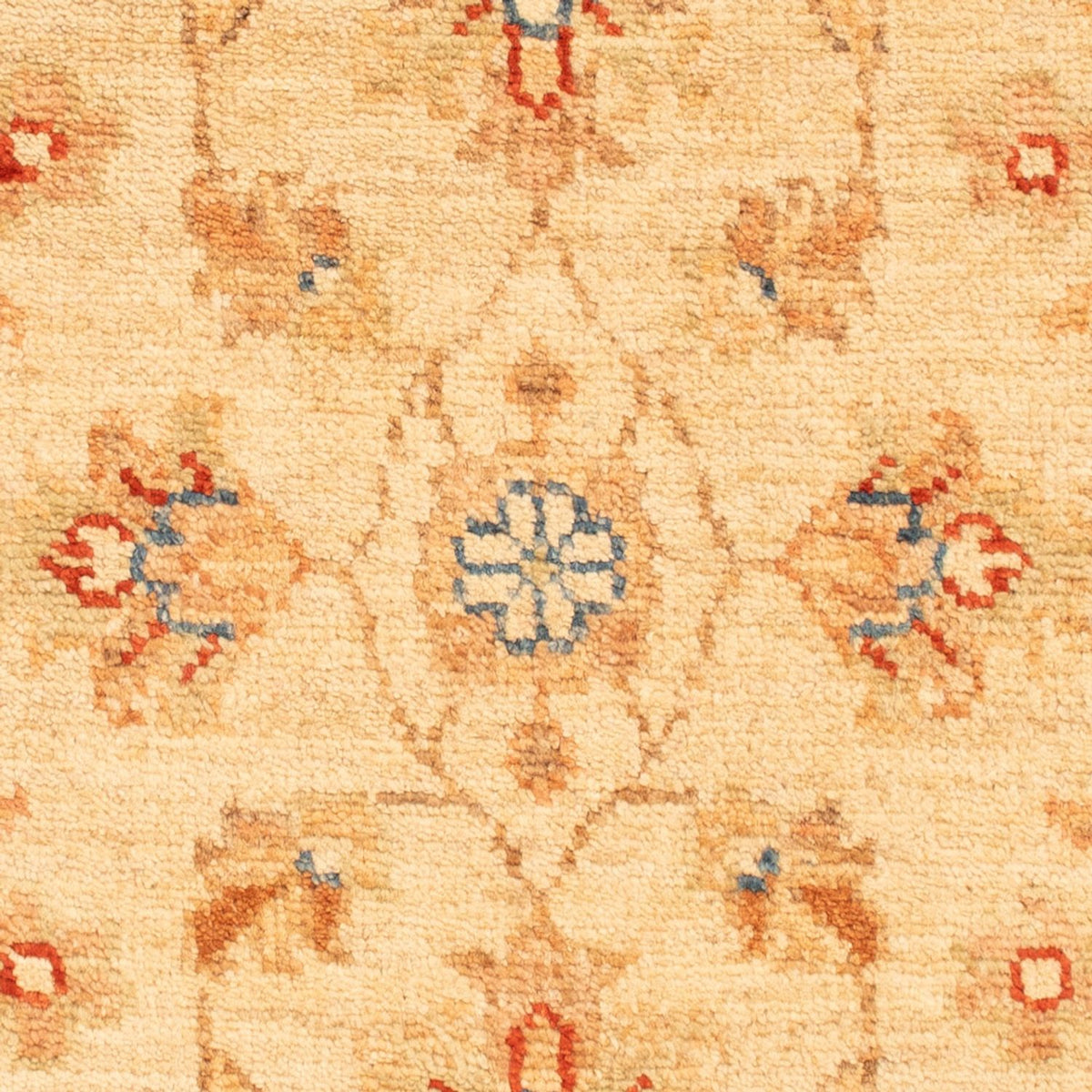 Ziegler Rug - 73 x 50 cm - beige