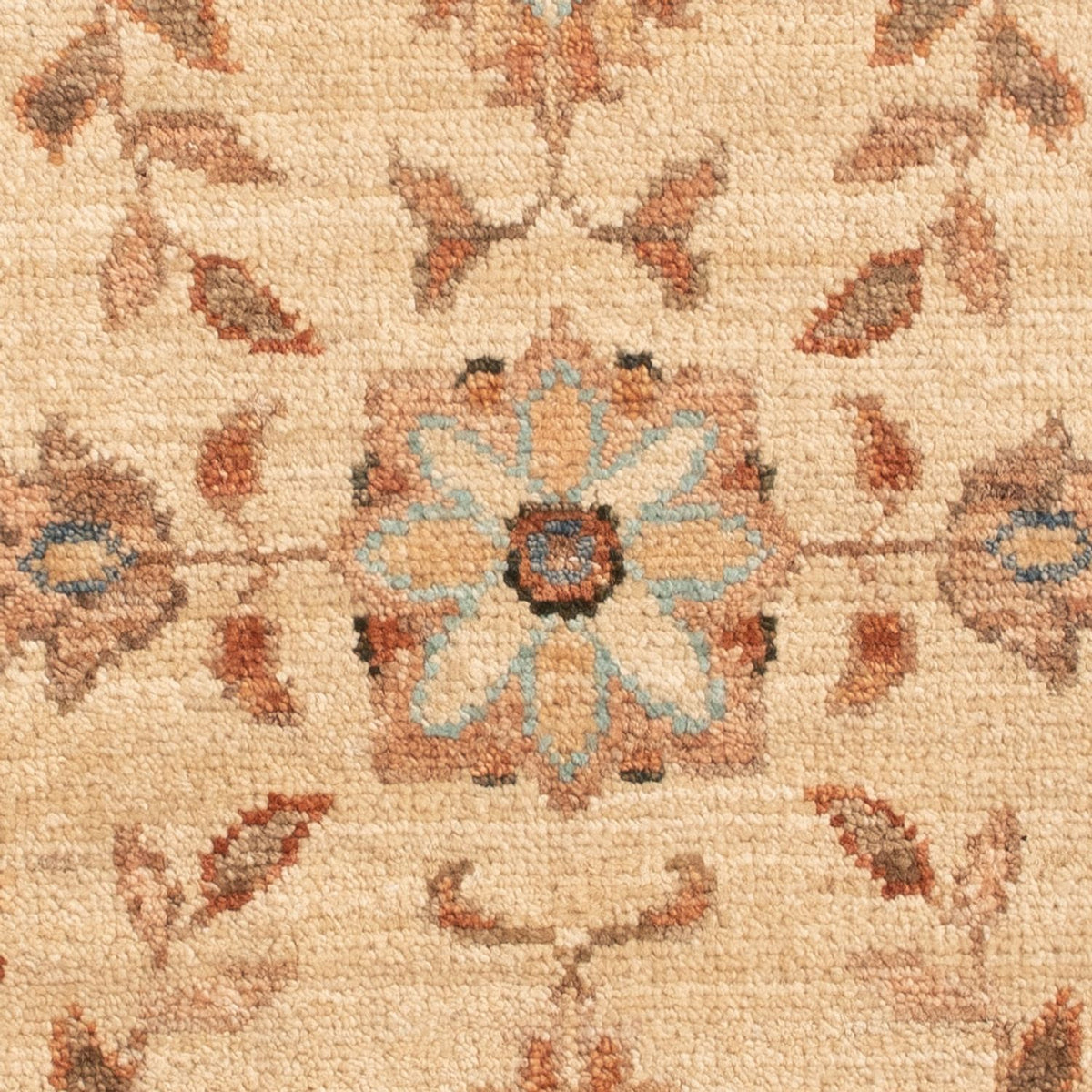 Ziegler Rug - 70 x 51 cm - beige