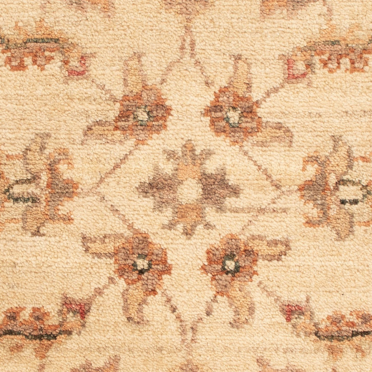 Ziegler Rug - 69 x 50 cm - beige