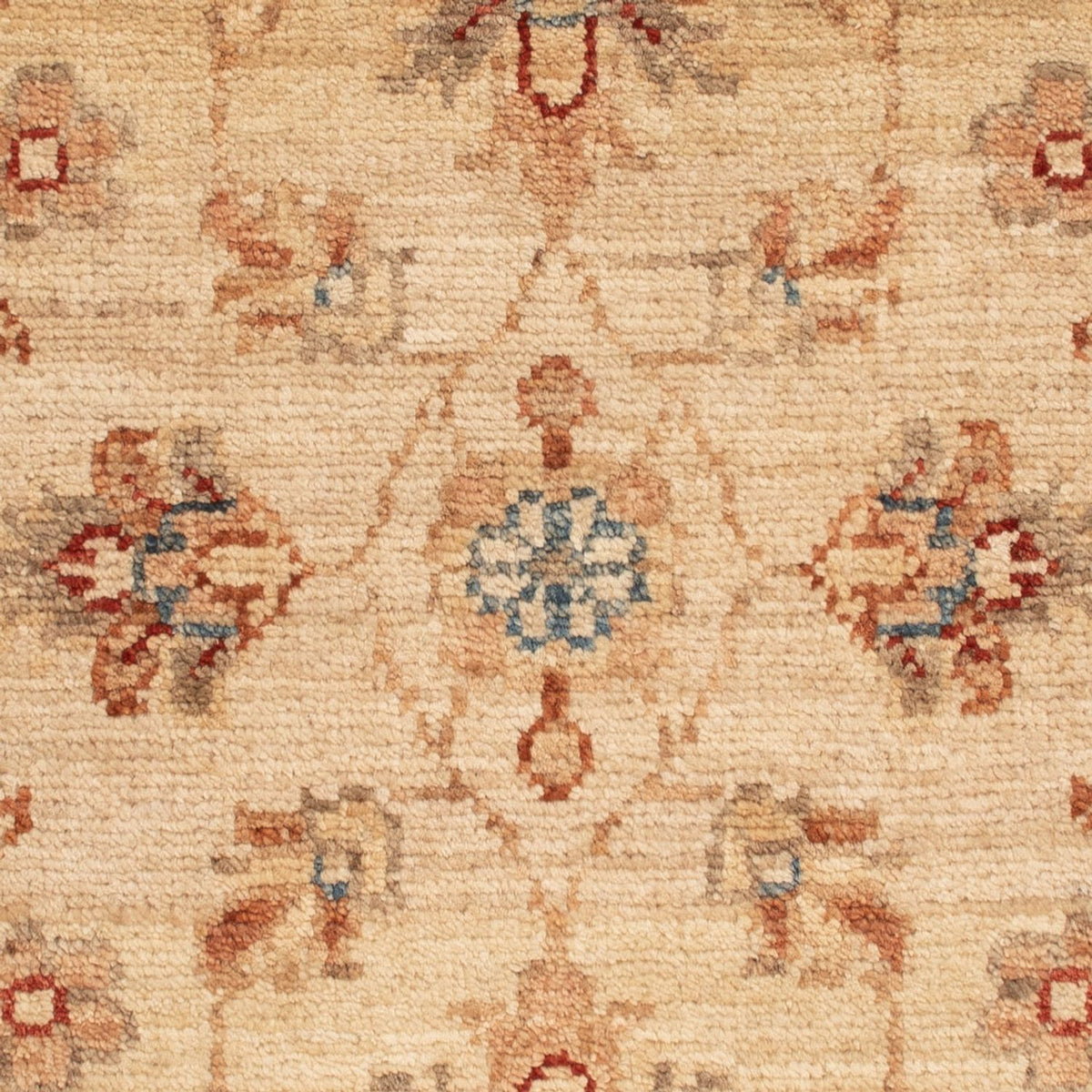 Ziegler Rug - 69 x 55 cm - beige