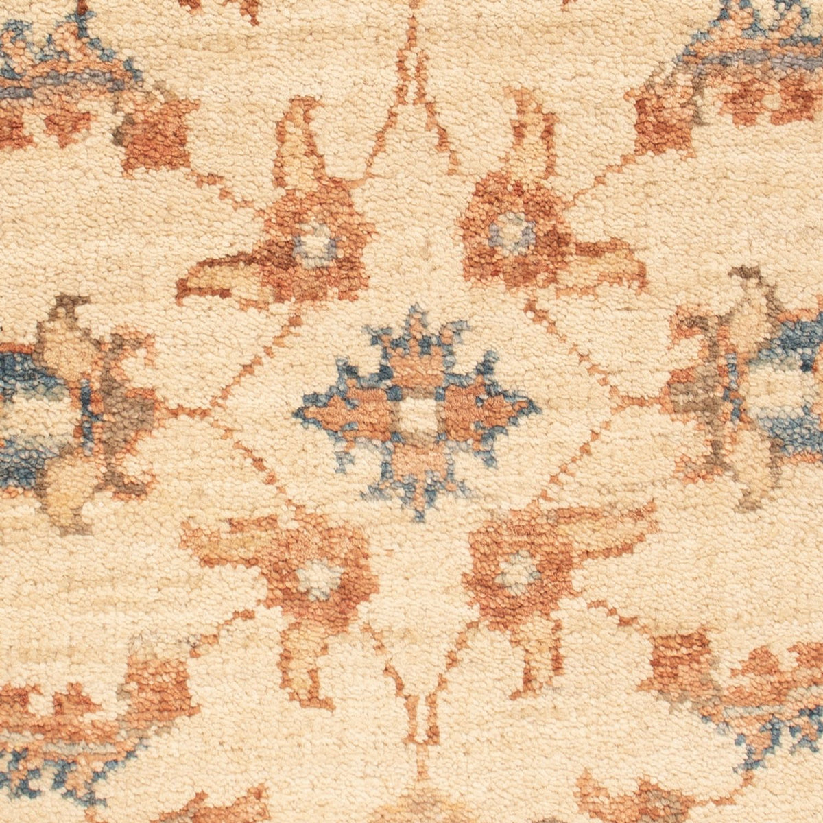 Ziegler Rug - 65 x 54 cm - beige