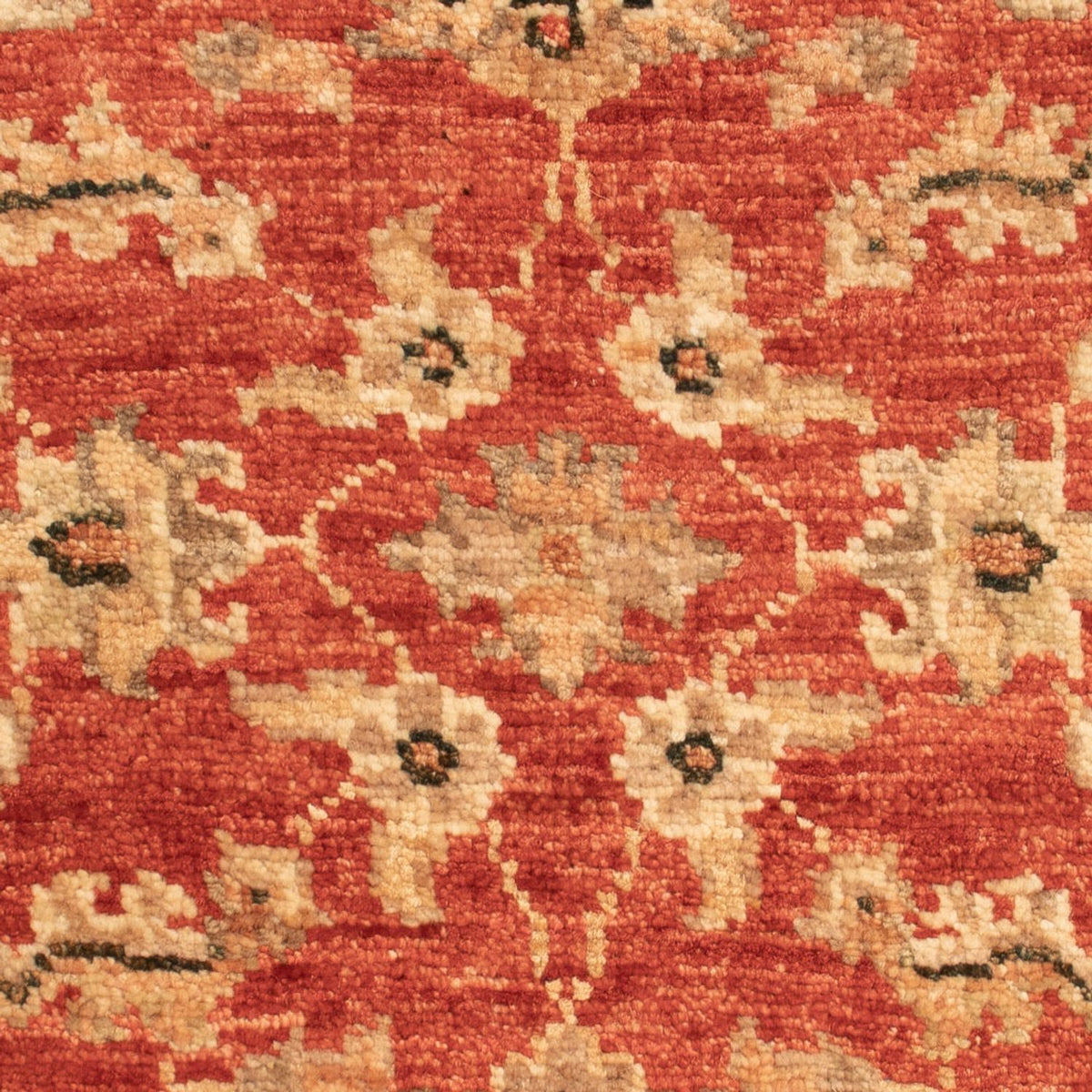 Ziegler Rug - 66 x 47 cm - red