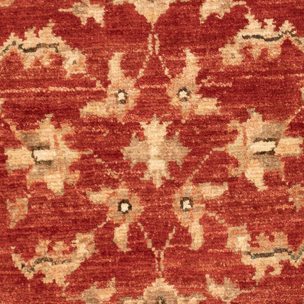 Ziegler Rug - 74 x 54 cm - red