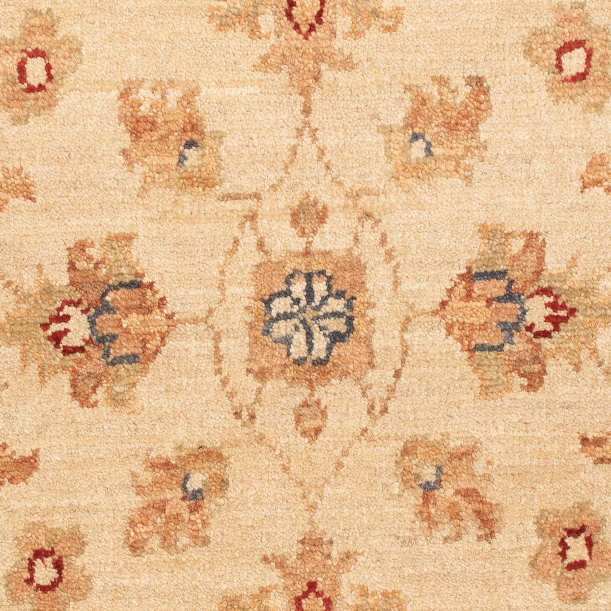 Ziegler Rug - 79 x 53 cm - beige