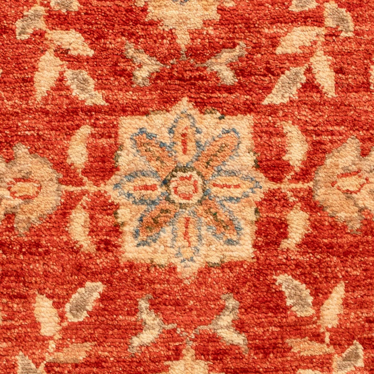 Ziegler Rug - 70 x 50 cm - red