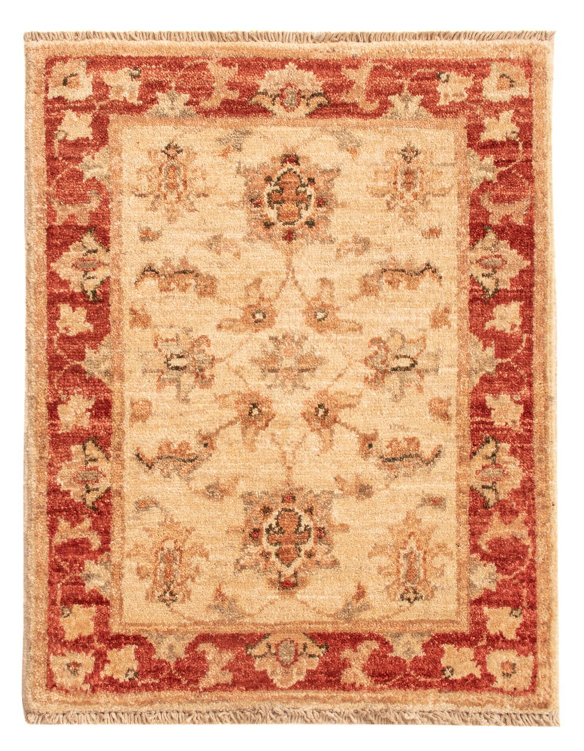 Ziegler Rug - 66 x 51 cm - beige