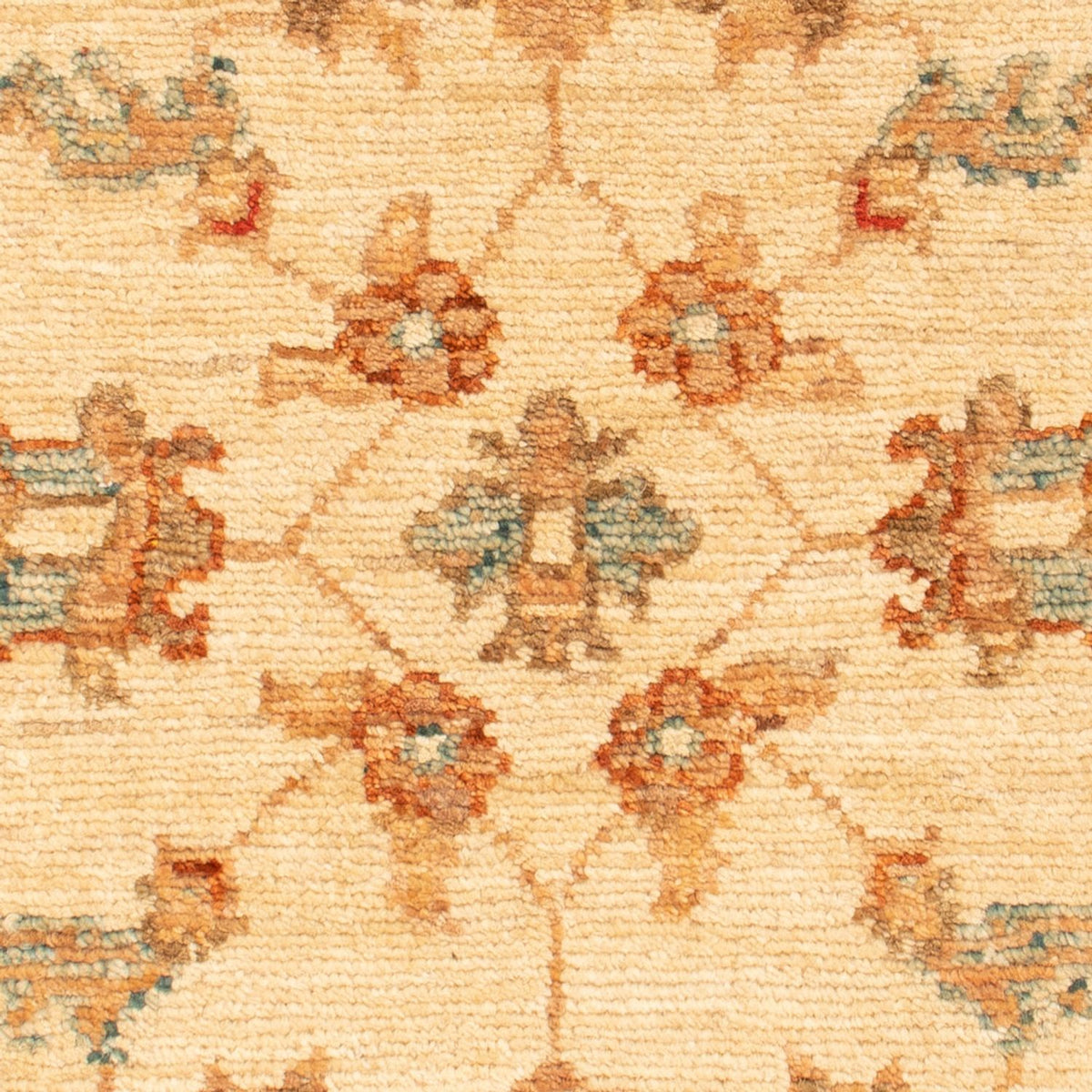 Ziegler Rug - 72 x 53 cm - beige