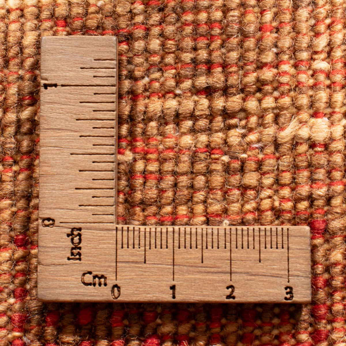 Runner Ziegler Rug - Ariana - 496 x 86 cm - multicolored