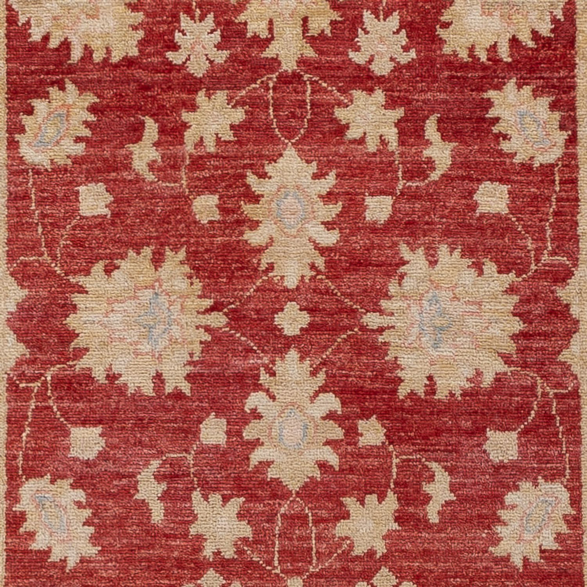 Runner Ziegler Rug - 256 x 81 cm - red