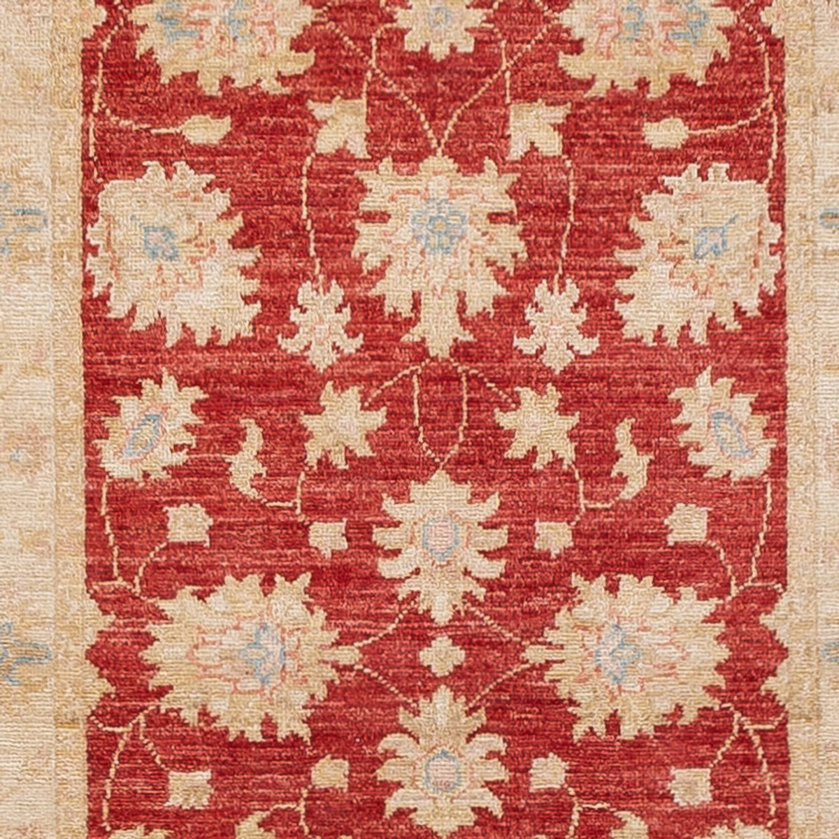 Runner Ziegler Rug - 412 x 83 cm - red