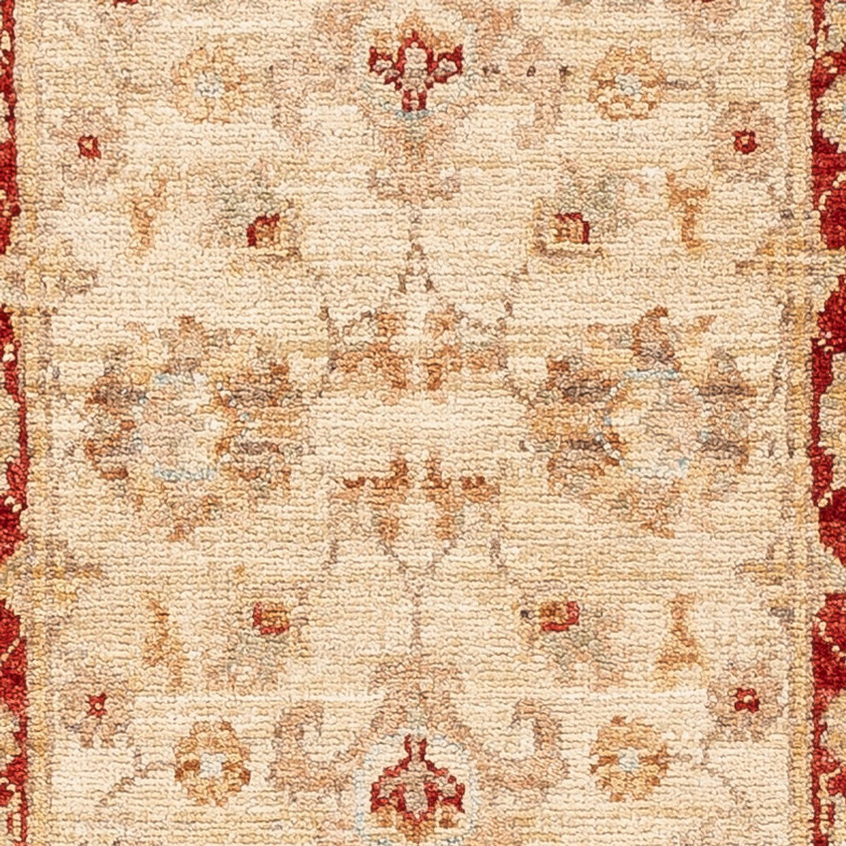 Runner Ziegler Rug - 153 x 50 cm - beige