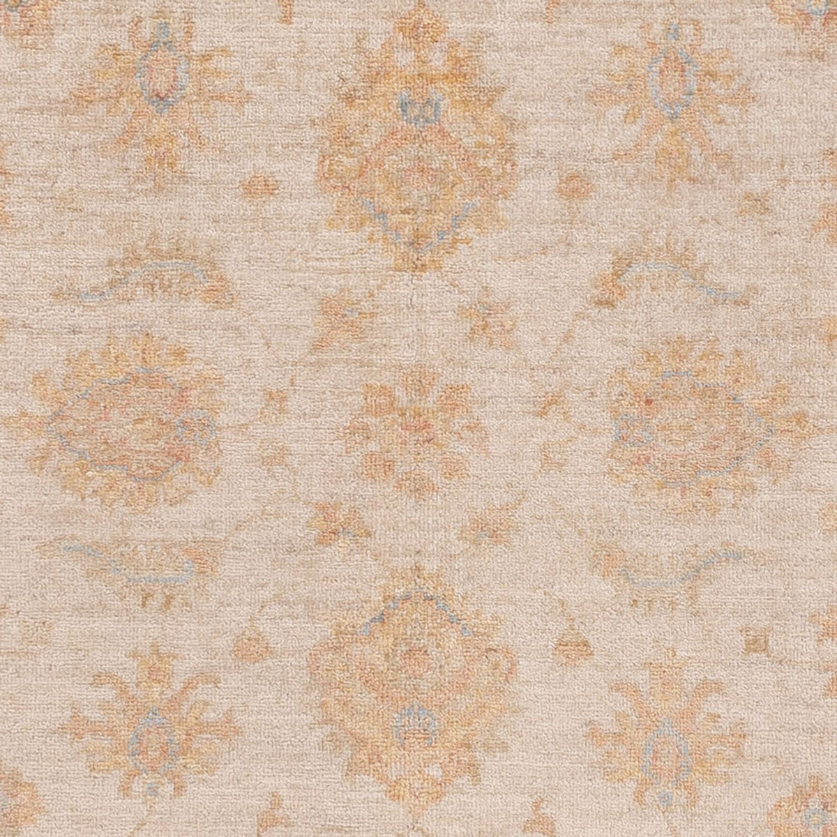 Ziegler Rug - 150 x 104 cm - cream