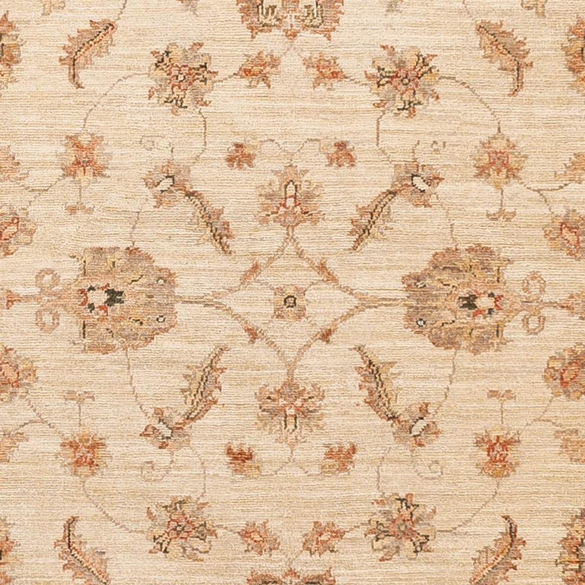 Runner Ziegler Rug - 297 x 122 cm - beige