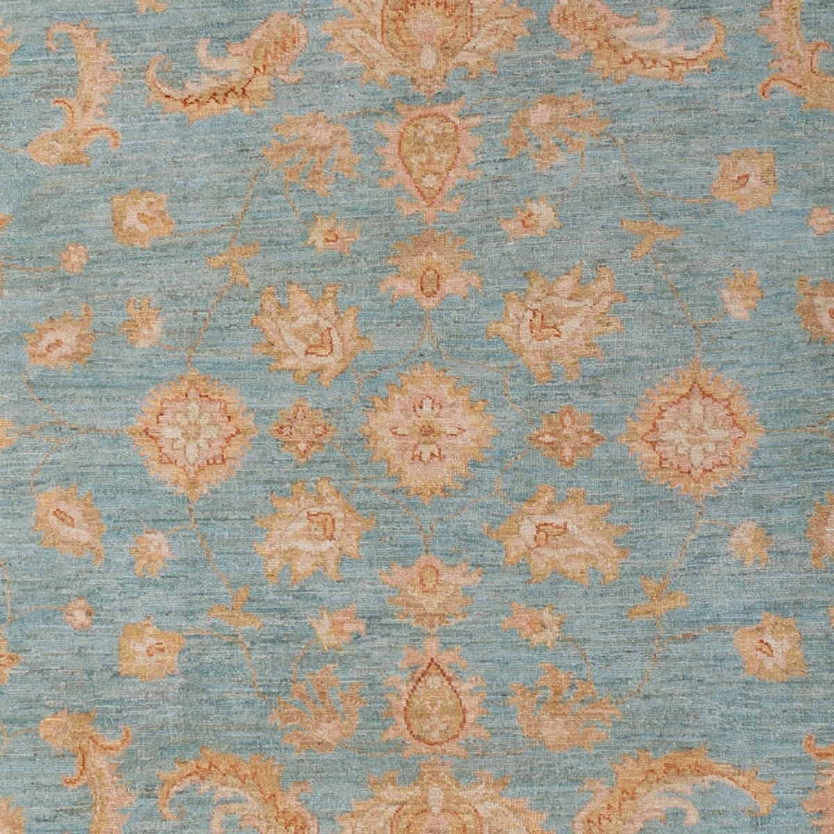 Ziegler Rug - 290 x 205 cm - light blue
