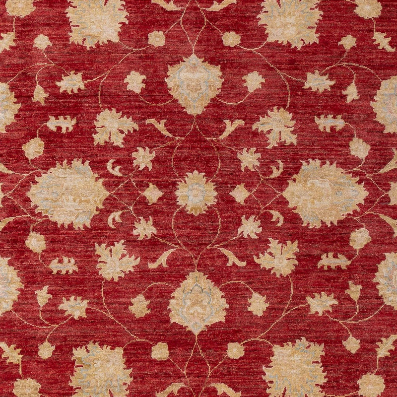 Ziegler Rug - 297 x 209 cm - dark red