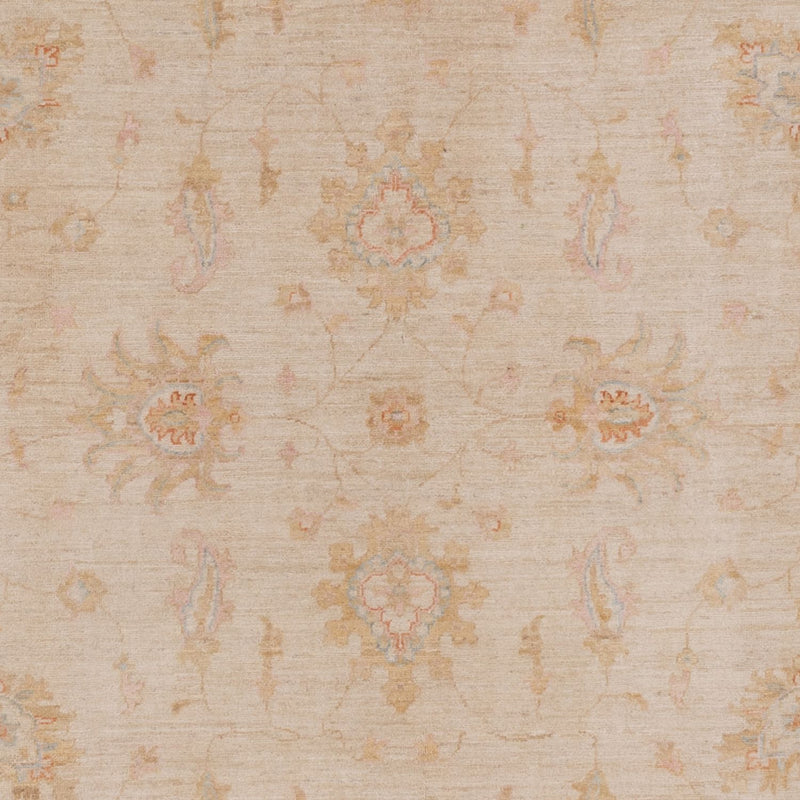 Ziegler Rug - 296 x 200 cm - beige
